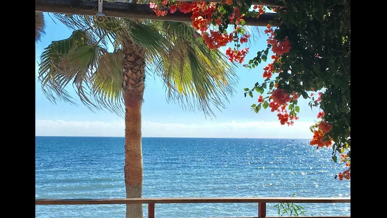 Mijas Costa - Beachside Apartment-C Sitio de Calahonda Spanje